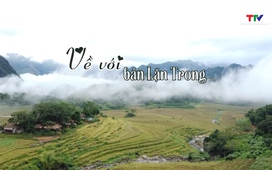 Thanh Hóa - Đi để yêu ngày 04/03/2026