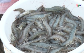 Bản tin Nông nghiệp - Nông thôn ngày 04/03/2026