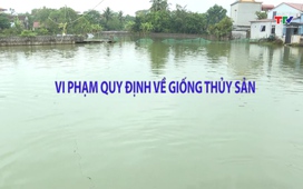 Khuyến nông 06/03/2026