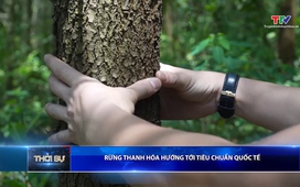 Bản tin Thời sự 9h ngày 11/4/2026