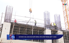 Bản tin Tài chính – Thị trường 12/04/2026