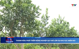 Bản tin Thời sự cuối ngày 12/4/2026