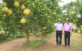 Bản tin Thời sự 9h ngày 16/04/2026