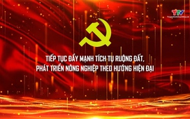 Đảng trong cuộc sống 02/04/2026