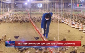 Bản tin Thời sự 18h ngày 02/4/2026