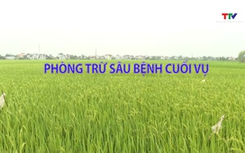 Khuyến nông 21/4/2026