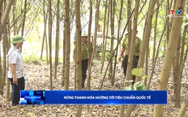 Thông tin đối ngoại 23/04/2026