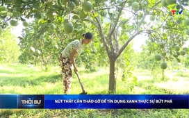 Bản tin Thời sự 16h ngày 26/04/2026