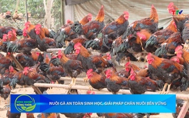 Bản tin Nông nghiệp - Nông thôn ngày 29/04/2026