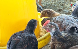 Khuyến nông ngày 03/04/2026