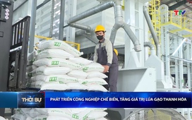 Bản tin Thời sự 14h ngày 5/4/2026