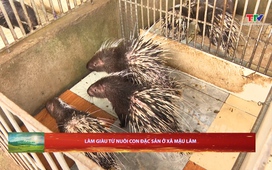 Chuyên mục Dân tộc miền núi ngày 5/4/2026