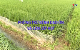 Khuyến nông 7/4/2026