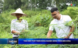 Bản tin Thời sự 14h ngày 8/4/2026