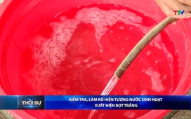 Bản tin Thời sự 16h ngày 8/4/2026