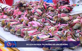 Bản tin Tài chính - Thị trường ngày 11/5/2026