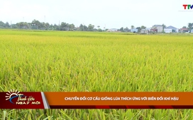 Thanh Hóa ngày mới 13/5/2026