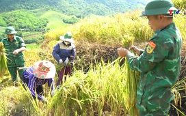 Biên phòng toàn dân ngày 15/5/2026