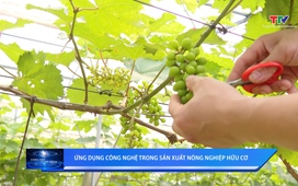 Khoa học và Đời sống ngày 15/5/2026