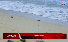 Bản tin Du lịch ngày 16/05/2026