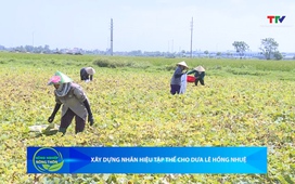 Bản tin Nông nghiệp – Nông thôn 16/05/2026