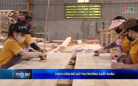 Bản tin Thời sự trưa 17/5/2026