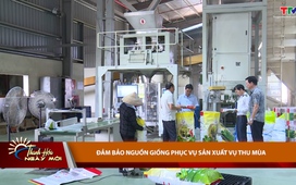 Thanh Hóa ngày mới 20/5/2026