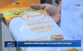 Bản tin Dòng chảy kinh tế ngày 20/5/2026