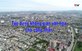 Văn hóa – Nghệ thuật ngày 20/5/2026