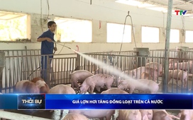 Bản tin Thời sự 16h ngày 22/5/2026