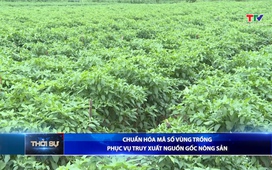 Bản tin Thời sự 9h ngày 24/5/2026