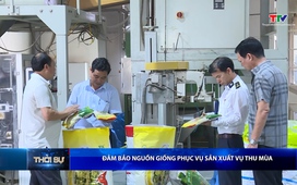 Bản tin Thời sự trưa 24/5/2026