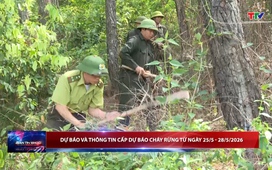 Bản tin Thời sự 18h ngày 25/05/2026