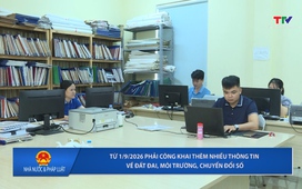 Nhà nước và Pháp luật 28/05/2026