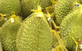 Bản tin Thời sự 14h ngày 03/5/2026