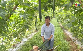 Chuyên mục Dân tộc miền núi ngày 03/5/2026