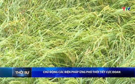 Bản tin Thời sự 16h ngày 6/5/2026