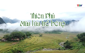 Thanh Hóa - Góc nhìn từ trên cao ngày 09/5/2026