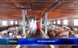 Bản tin Thời sự 16h ngày 01/6/2026