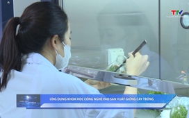 Khoa học và Đời sống ngày 01/6/2026