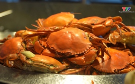 Food tour Thanh Hóa ngày 11/6/2026