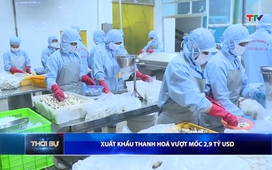 Bản tin Thời sự 16h ngày 11/6/2026
