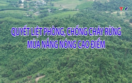 Phóng sự: Quyết liệt phòng chống cháy rừng mùa cao điểm