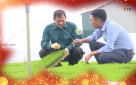 Phóng sự: Thọ Bình - Điểm sáng giảm nghèo bền vững đồng bào dân tộc thiểu số