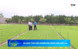 Bản tin Nông nghiệp – Nông thôn ngày 13/06/2026