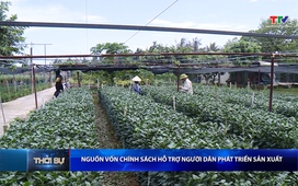 Bản tin Thời sự trưa 14/6/2026