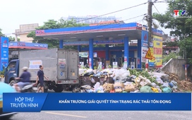 Hộp thư truyền hình ngày 15/6/2026