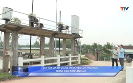 Khoa học và đời sống ngày 15/6/2026