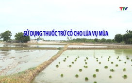 Khuyến nông 16/06/2026