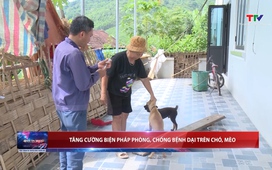 Bản tin Thời sự 18h ngày 19/06/2026